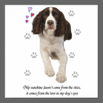 English Springer Spaniel Dog