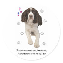 English Springer Spaniel Dog stickers