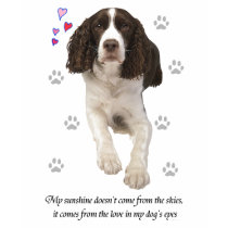 English Springer Spaniel Dog t-shirts