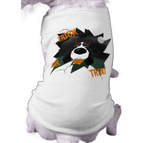 English Springer Spaniel Halloween pet clothing
