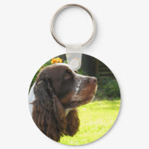 English Springer Spaniel keychains