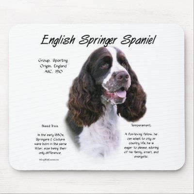 English Springer Spaniel (liver) History Design Mousepad by GreyWolfCreation
