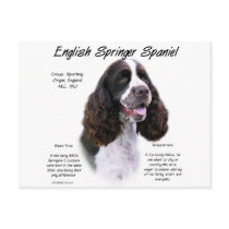 English Springer Spaniel (liver) History Design postcards by GreyWolfCreation English Springer Spaniel (liver) History Design postcards