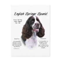 English Springer Spaniel (liver) History Design postcards by GreyWolfCreation English Springer Spaniel (liver) History Design postcards