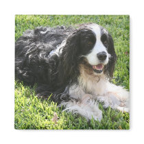 English Springer Spaniel magnets by elaineinalaska English Springer Spaniel magnets