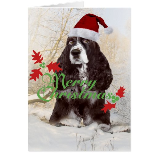 springer spaniel christmas t shirt