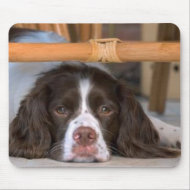 English Springer Spaniel Mousepad mousepad