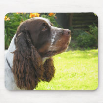 English Springer Spaniel mousepads