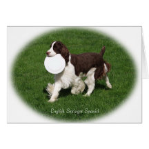 English Springer Spaniel Note Card