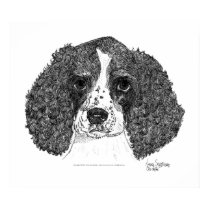 English Springer Spaniel Pen and Ink posters by dragling English Springer Spaniel Pen and Ink posters