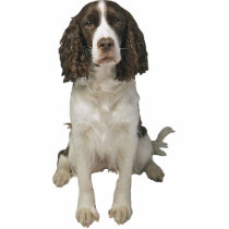 English Springer Spaniel photo sculptures