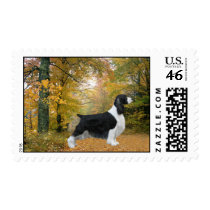 English Springer Spaniel Postage Stamp