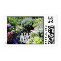 English Springer Spaniel Postage Stamp