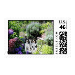 English Springer Spaniel Postage Stamp