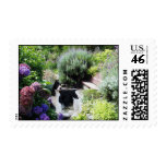English Springer Spaniel Postage Stamp