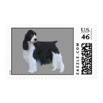 English Springer Spaniel Postage Stamp