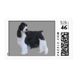 English Springer Spaniel Postage Stamp