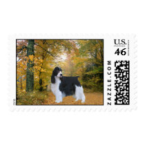 English Springer Spaniel Postage Stamp