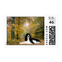English Springer Spaniel Postage Stamp