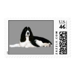 English Springer Spaniel Postage Stamp