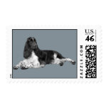 English Springer Spaniel Postage Stamp