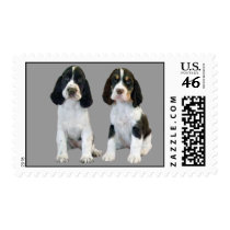 English Springer Spaniel Postage Stamp