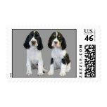 English Springer Spaniel Postage Stamp