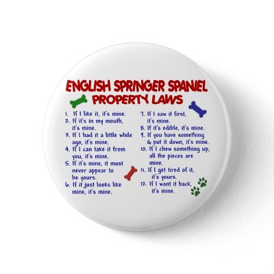 Create a laugh, or two, with our humorous ENGLISH SPRINGER SPANIEL Property 