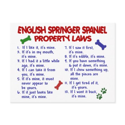 Create a laugh, or two, with our humorous ENGLISH SPRINGER SPANIEL Property 
