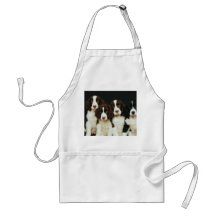 English Springer Spaniel Puppies (2) Aprons