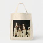 English Springer Spaniel Puppies (2) Bag English Springer Spaniel Puppies (2) Bag