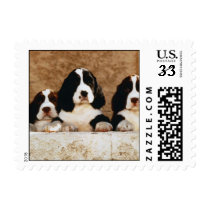 English Springer Spaniel Puppies Stamps