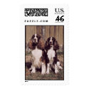 English Springer Spaniel Stamp (LARGE) by jasminesphotography English Springer Spaniel Stamp (LARGE)