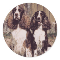 English Springer Spaniel Stickers by jasminesphotography English Springer Spaniel Stickers