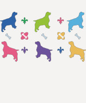 English Springer Spaniel T-Shirts t-shirts