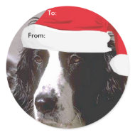 English Springer Spaniel To/From Xmas stickers sticker