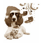 english, springer, spaniel, dogs, spaniels, dog,