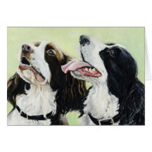 English Springer Spaniels Art Note Cards