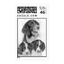 English Springer Spaniels postage by pjperrine English Springer Spaniels postage
