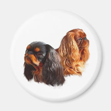 English Toy Spaniel Magnet