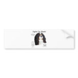 English Toy Spaniel prince charles History Design bumper stickers