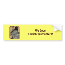 English Trumpeter:  1980 Andalusian Bumper Sticker