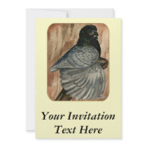 English Trumpeter:  1980 Andalusian Custom Invites