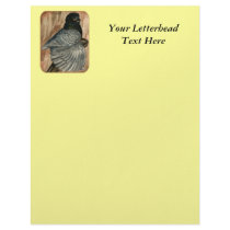 English Trumpeter:  1980 Andalusian Customized Letterhead