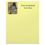 English Trumpeter:  1980 Andalusian Customized Letterhead