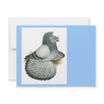 English Trumpeter:  Blue Grizzle Invites