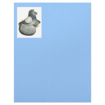 English Trumpeter:  Blue Grizzle letterhead