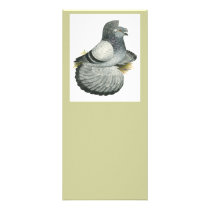 English Trumpeter:  Blue Grizzle Personalized Rack Card