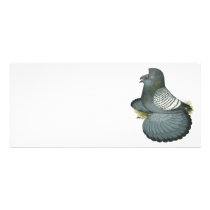 English Trumpeter:  Blue Spangle rack cards