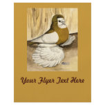 English Trumpeter Yellow Magpie flyers